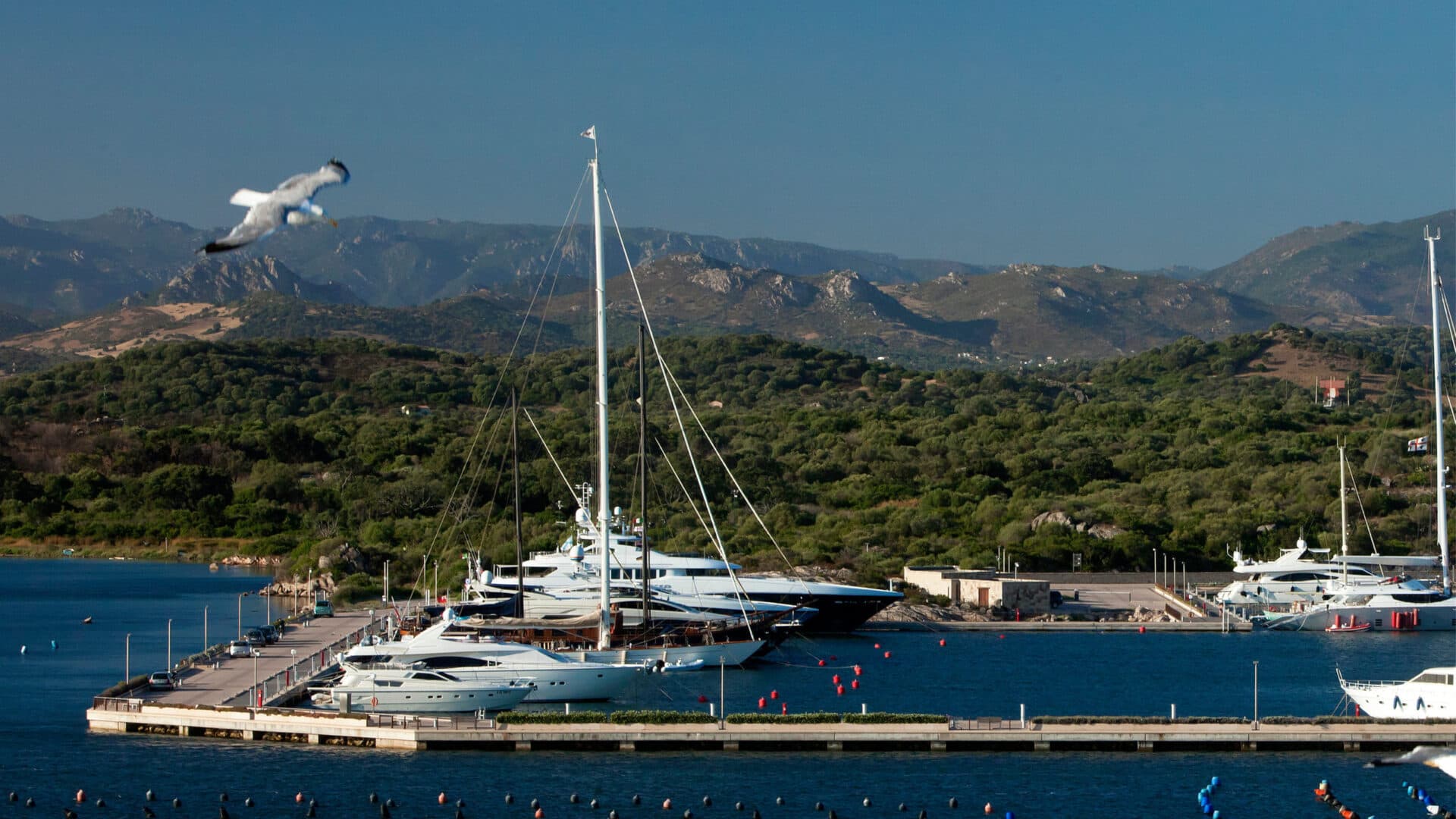 D-Marin, Sardinya'da Olbia Marinası'nı Satın Aldı