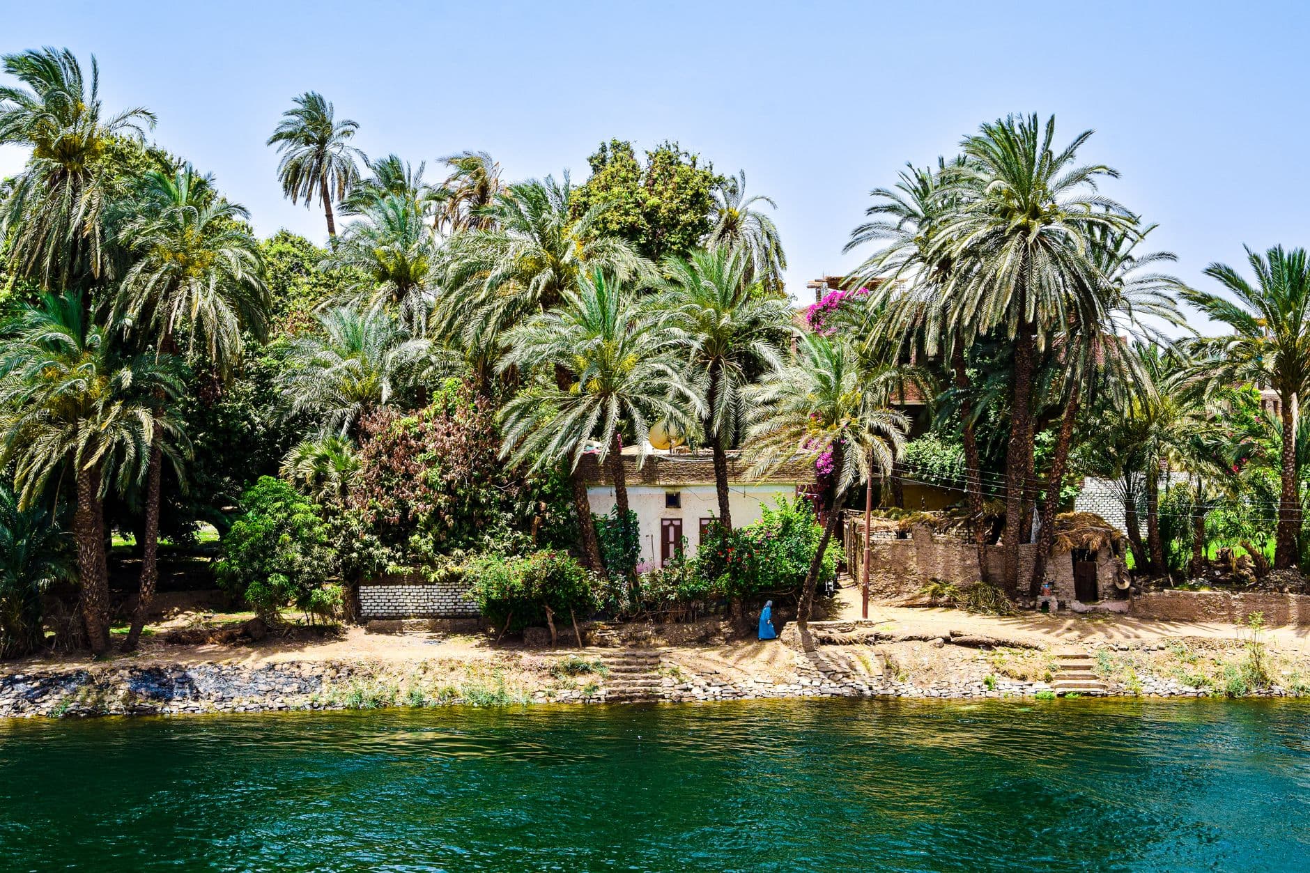 Rixos Mısır, World Travel Awards'ta 7 kategoride ödül aldı
