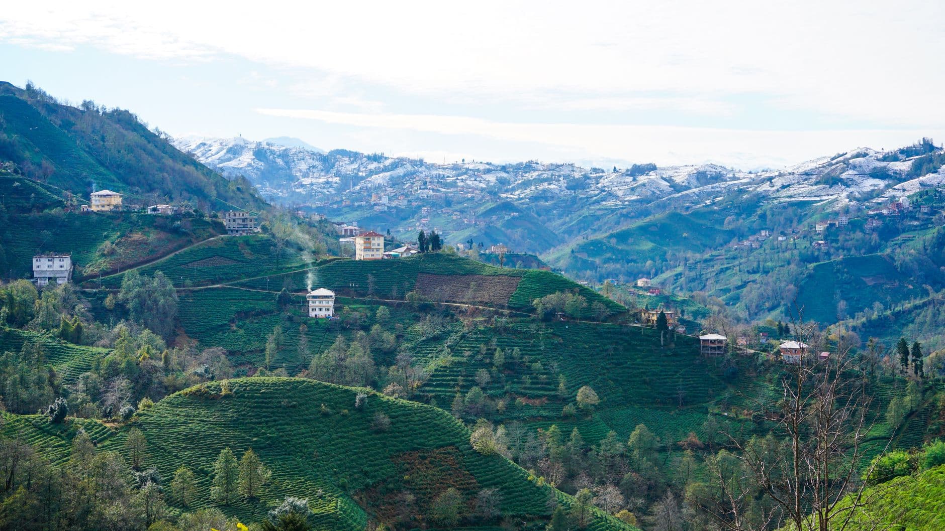 Rize'nin turizm potansiyelini dijital platforma taşıyan RİZEDESİN uygulaması tanıtıldı