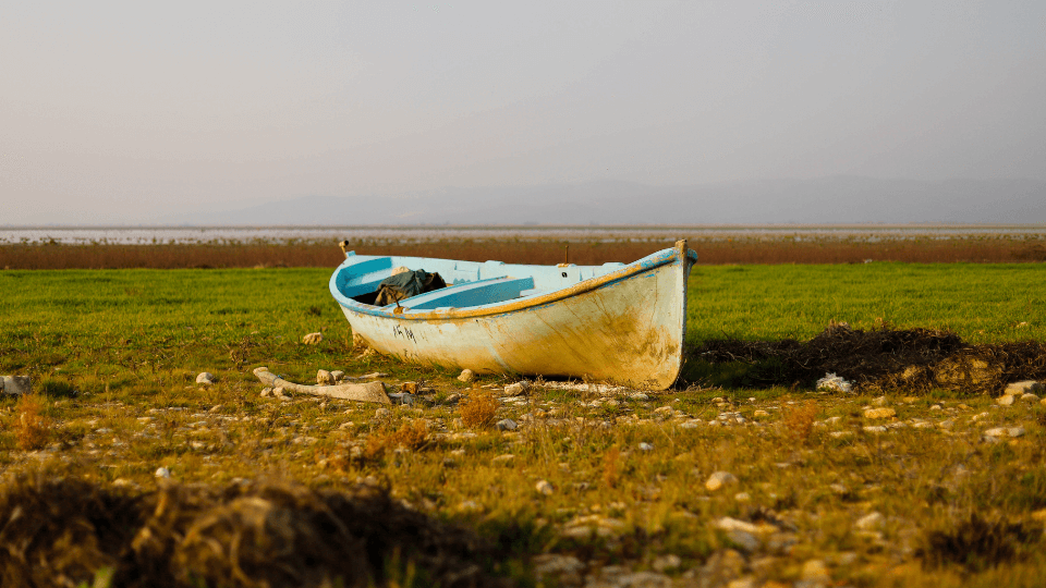 Kuş Cenneti Marmara Gölü Tarım Alanına Dönüştürülüyor